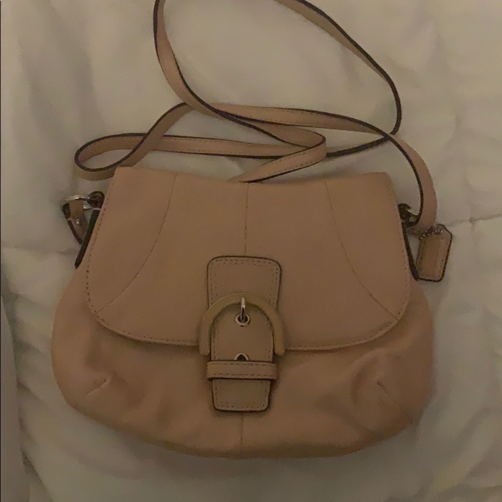 Shimmery Nude Crossbody